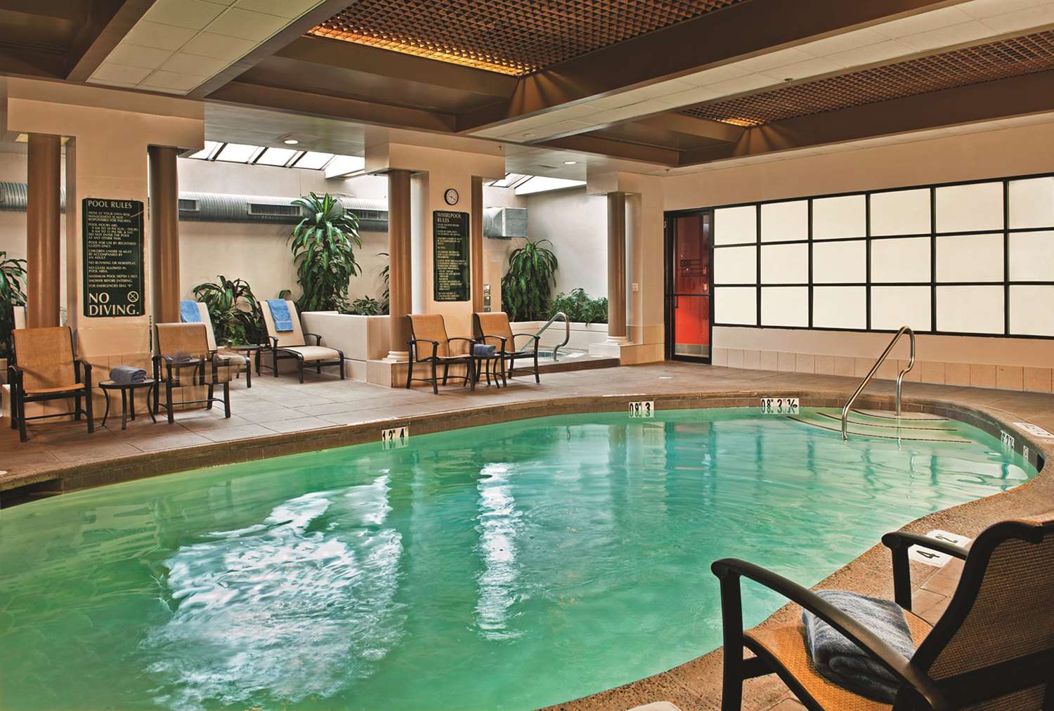 swimming pool spa