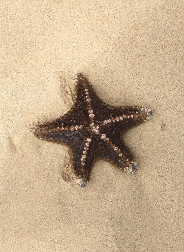 Estoril Beach 20/25