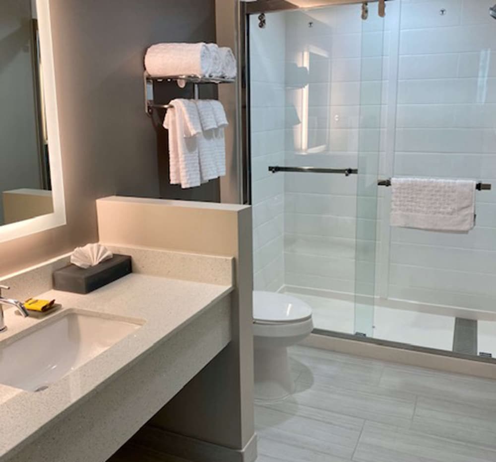La Quinta Inn and Suites by Wyndham Indianapolis Downtown 48/50