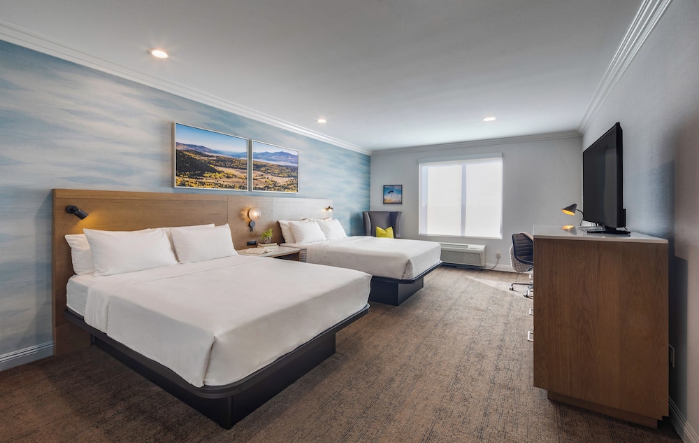 Studio, Suite, 2 Queen Beds