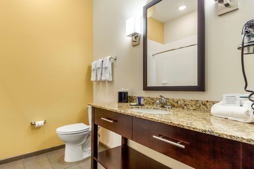Sleep Inn & Suites Lincoln University Area 20/42
