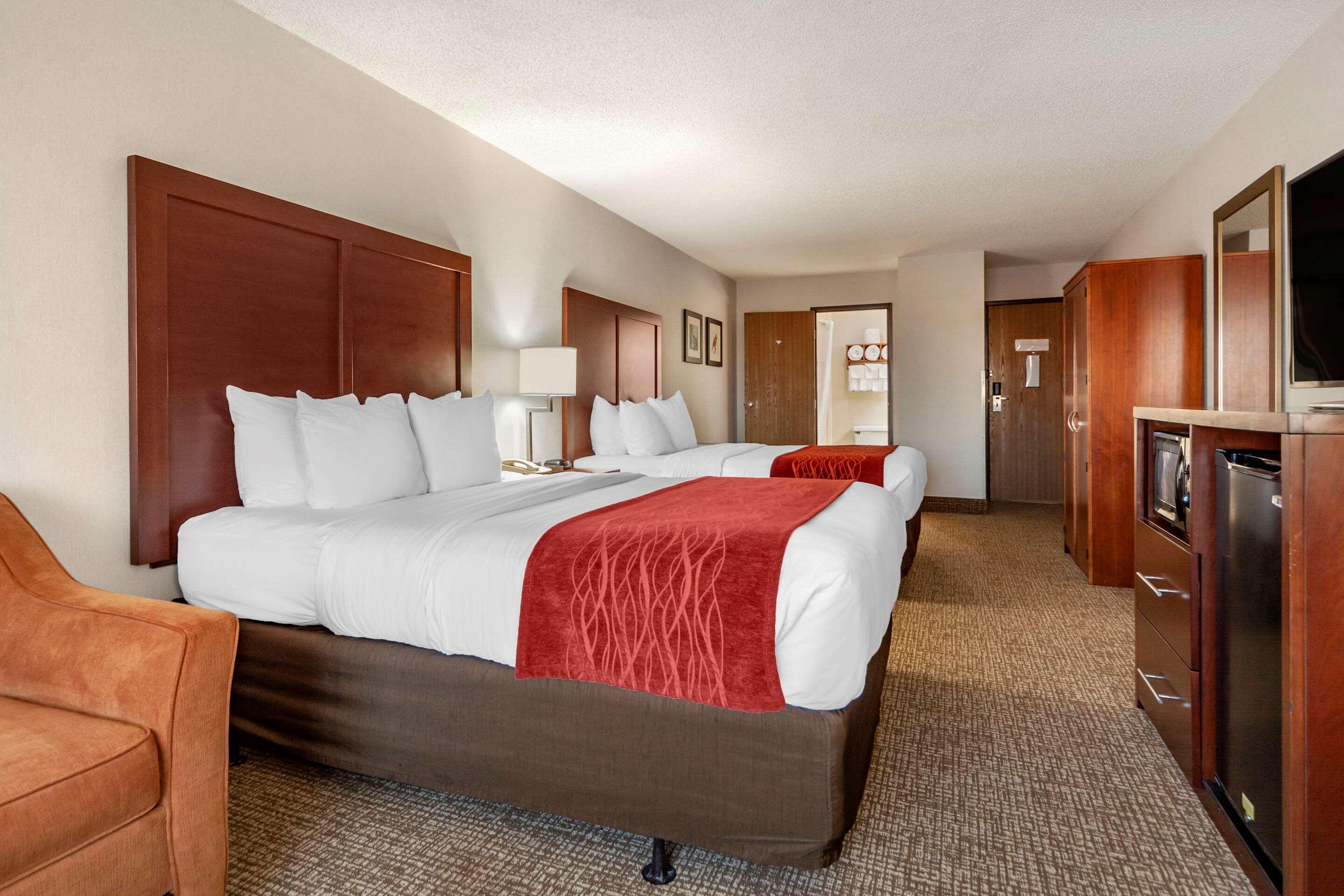 Suite, 2 Queen Beds