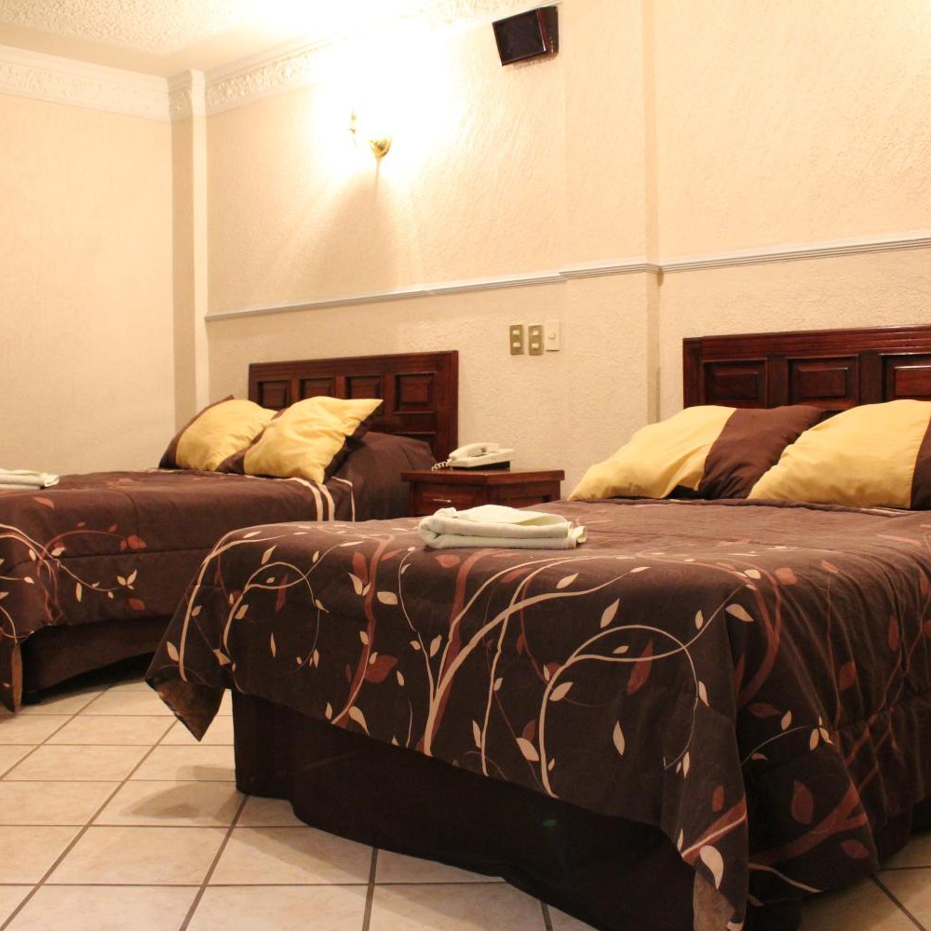 Hotel Feria Jalisciense 19/37