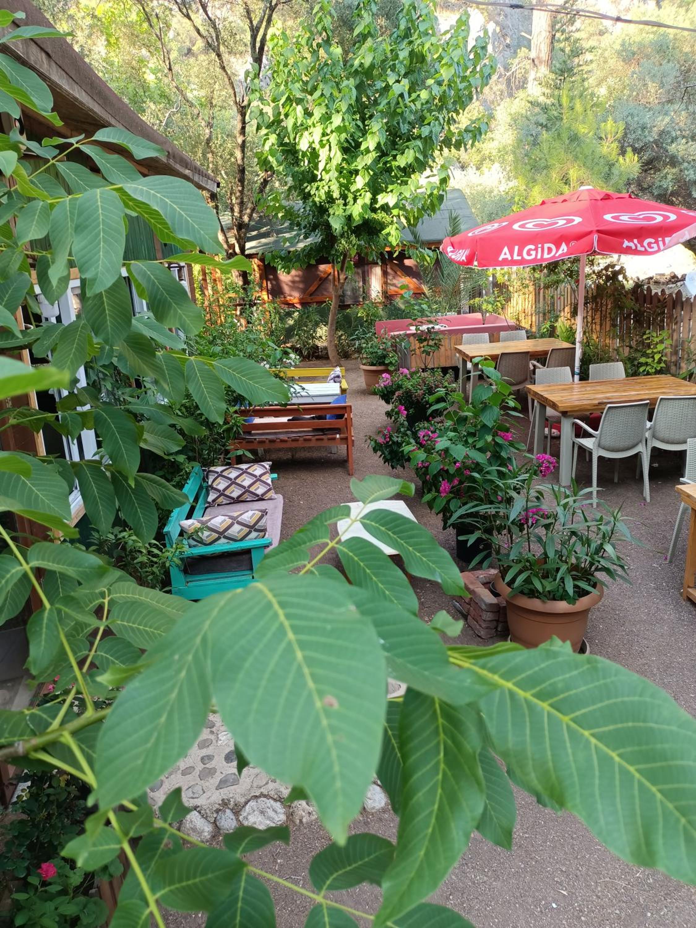Canario Pension Bungalow 39/50
