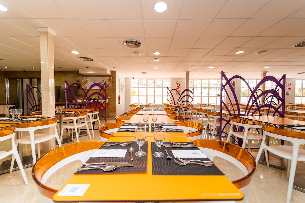 Servigroup Nereo 33/46