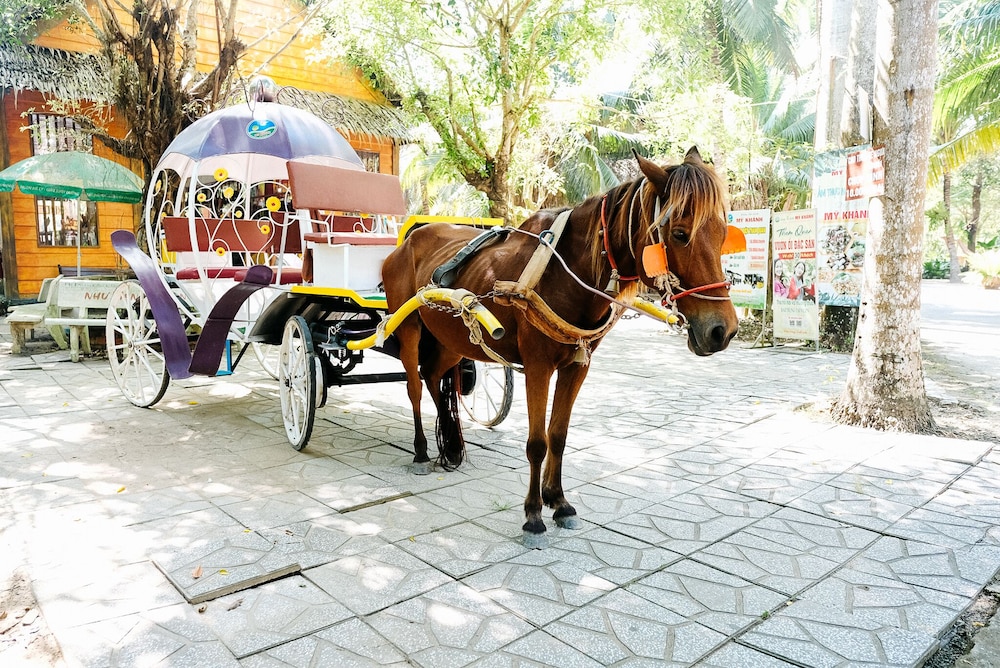 My Khanh Tourist Village 31/44