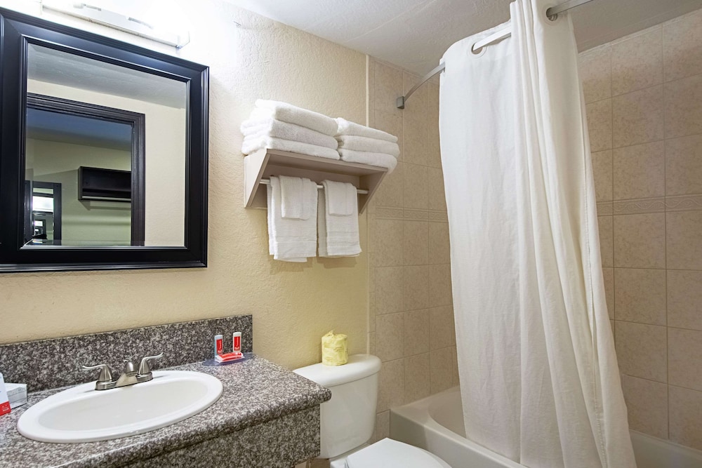 Econo Lodge Inn & Suites Clearwater Central 13/26