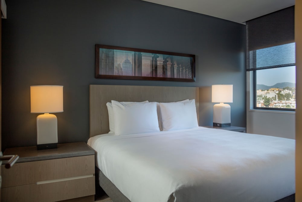 Hyatt House Mexico City Santa Fe 17/47
