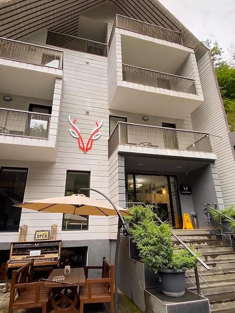 Borjomi Underwood Hotel 2/60