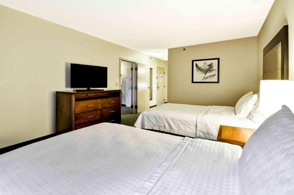 Suite, 4 Double Beds, 2 Bathrooms, Accessible