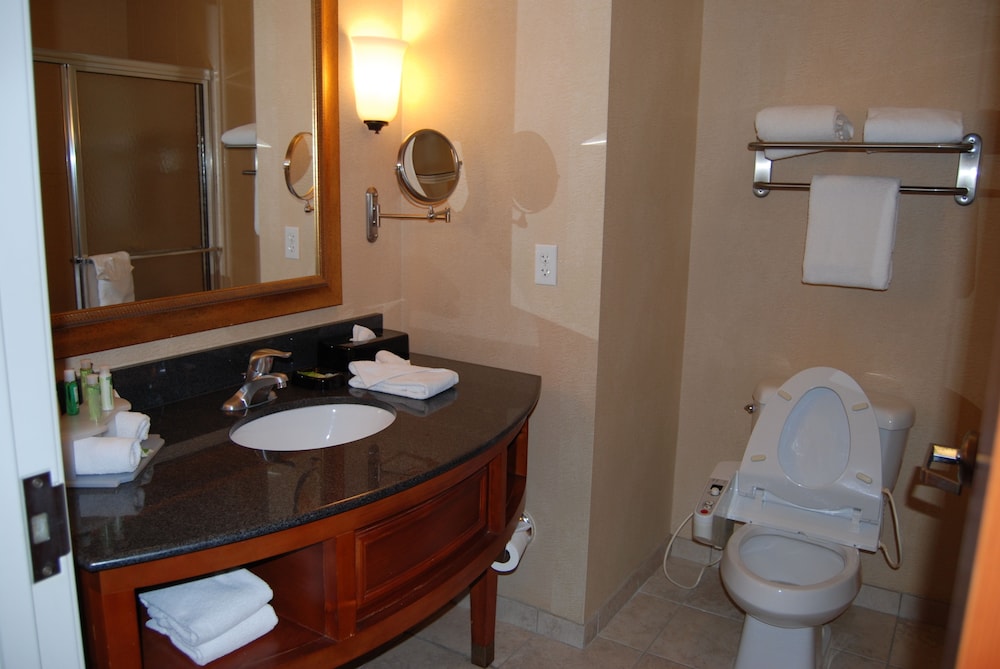 Holiday Inn Express Hotel Suites Auburn Hills 18/65