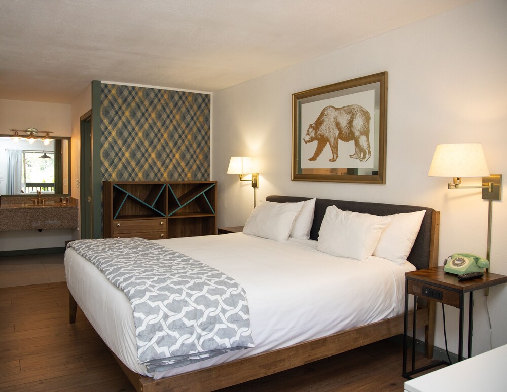 The Occidental Lodge 20/55