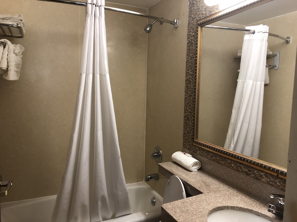 Days Inn by Wyndham Brooklyn 19/40