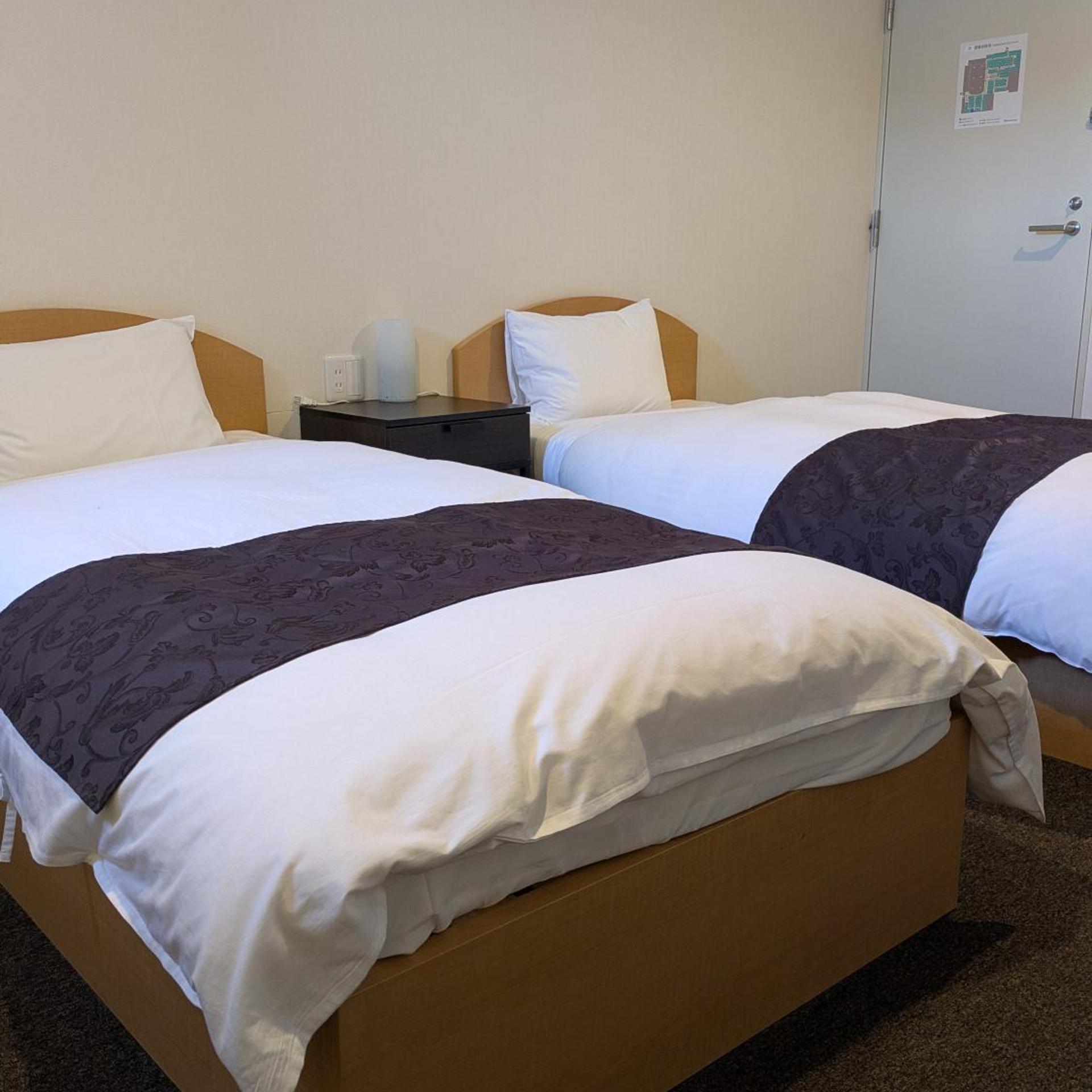 Fuji Mountain Resort Hotel 11/29