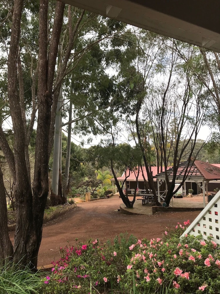 FOREST LODGE RESORT 37/50