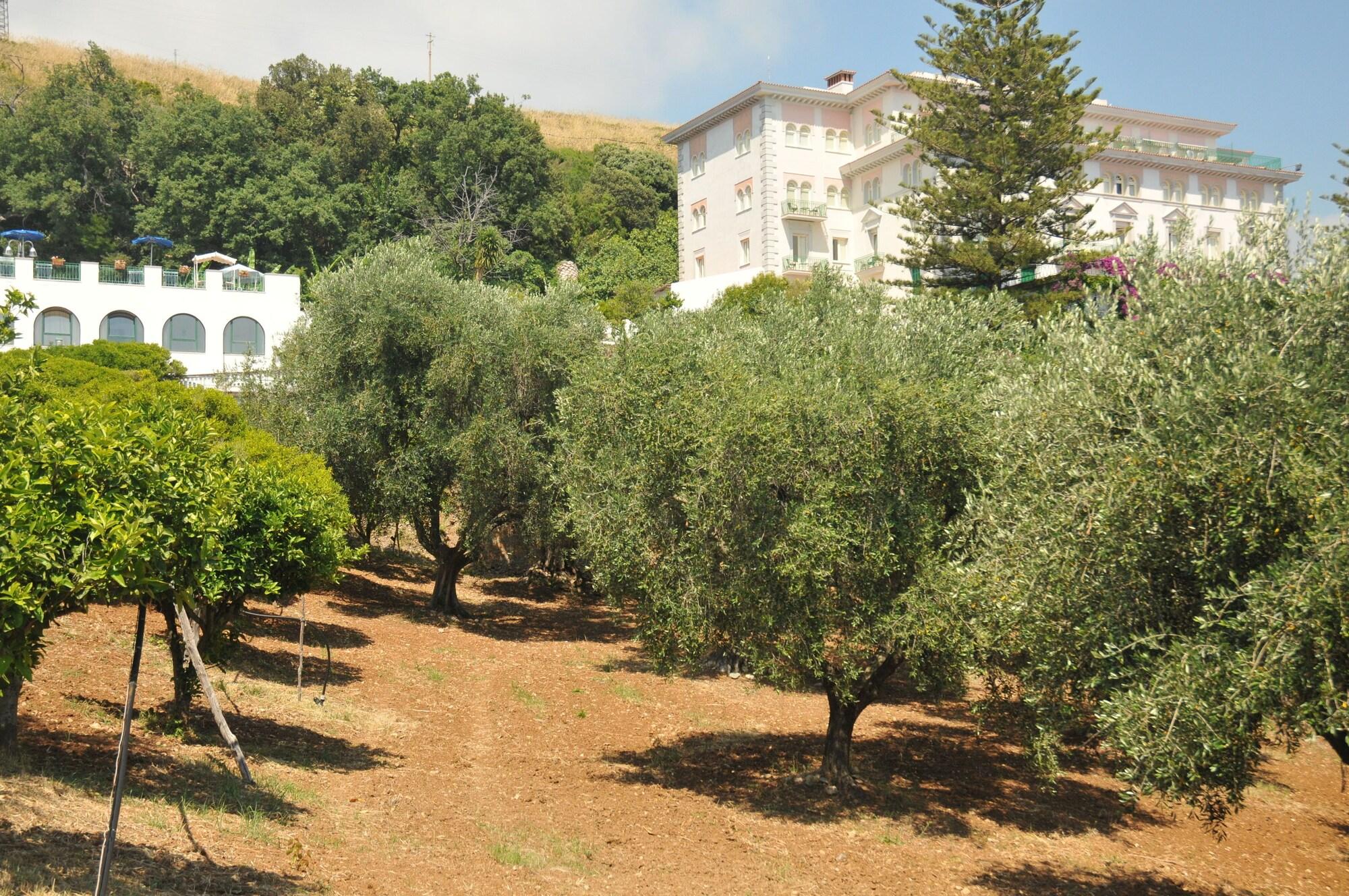 Grand Hotel San Michele 53/58