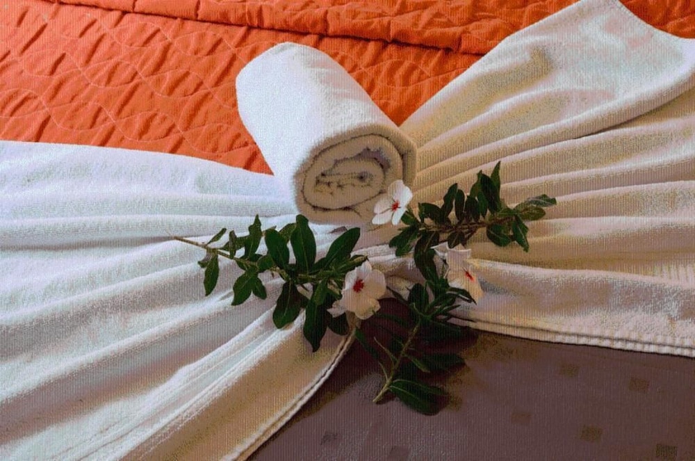 Hotel Chale Nosso Sitio 23/50