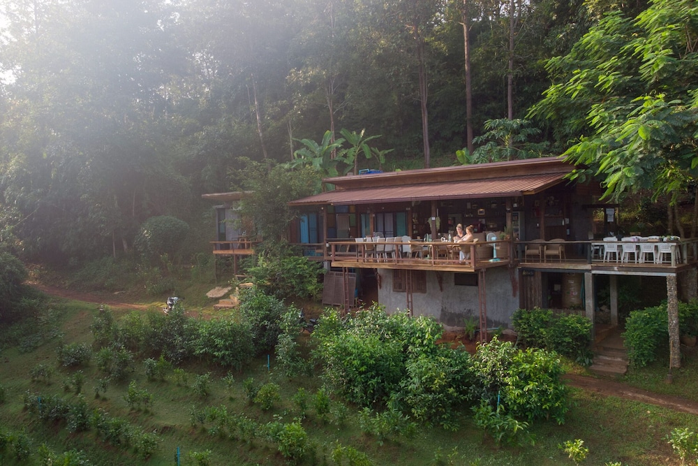 Chiang Mai Elephant Friends 3/50