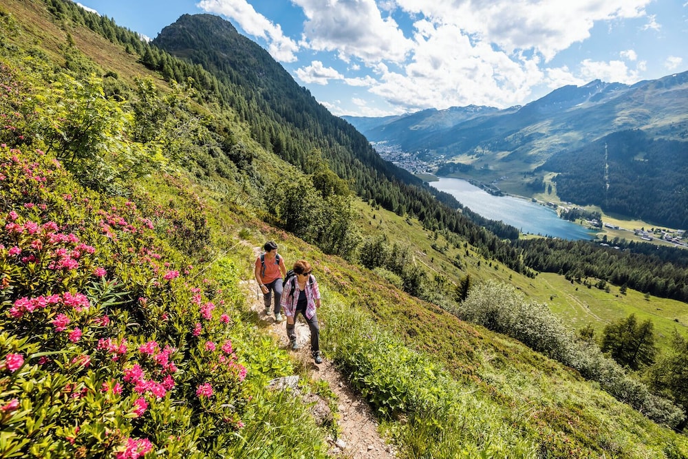 TOP ALPINE INN Davos Dorf 44/50