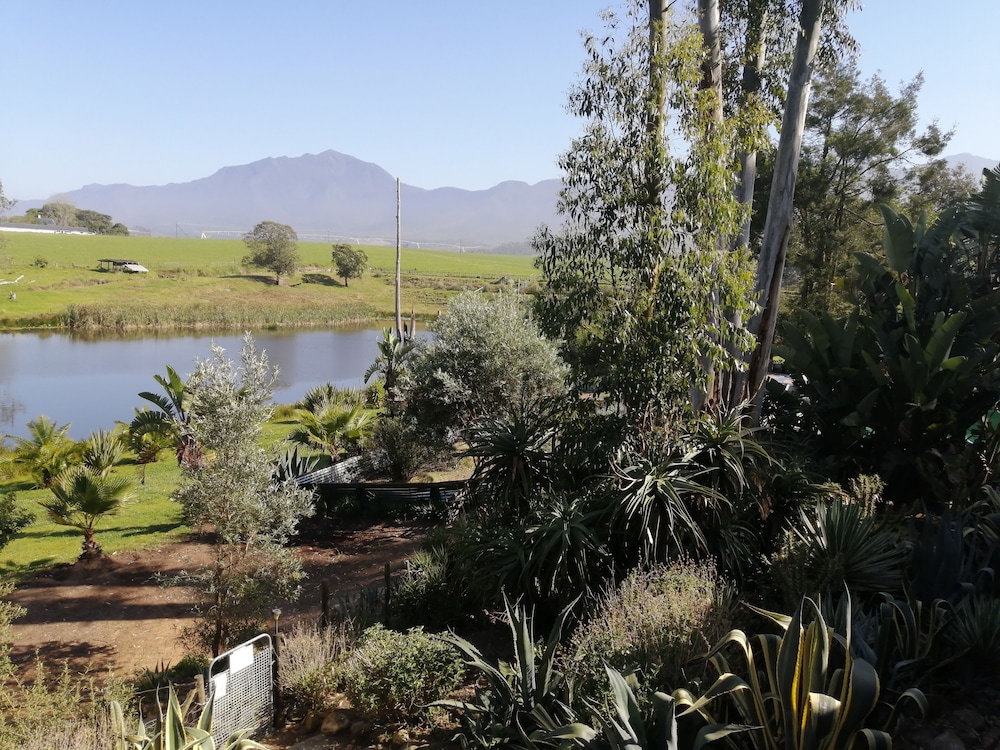 Ibis Place Guest House 36/50