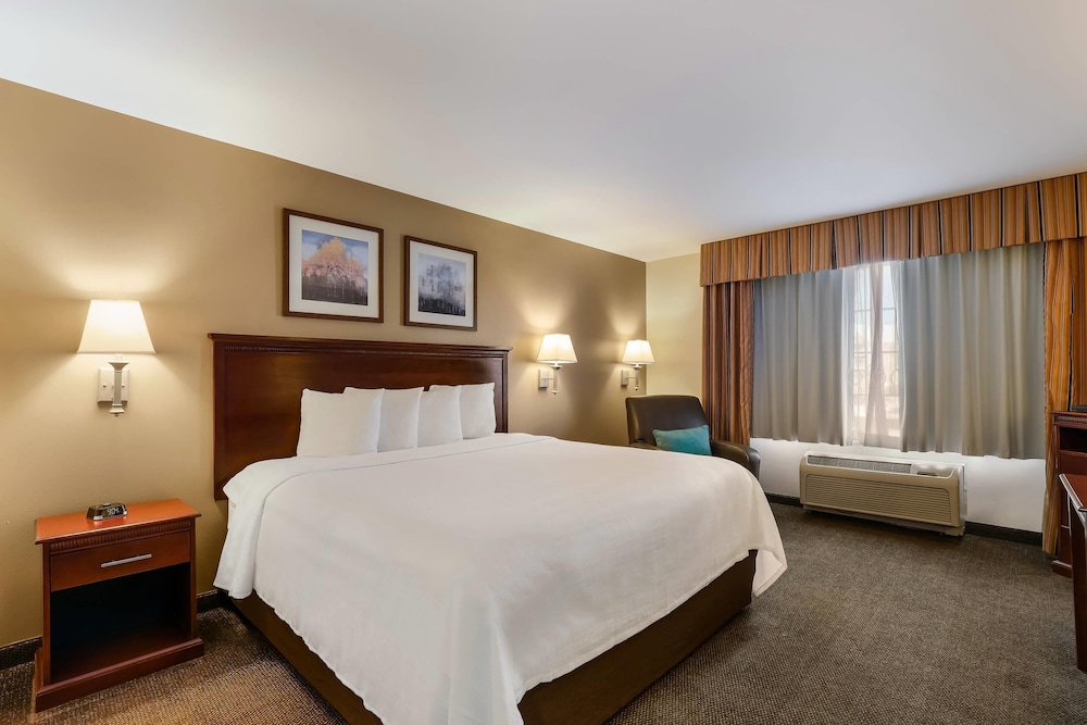 Efficiency, King Bed, Accessible، MainStay Suites Fitchburg Madison 6/10