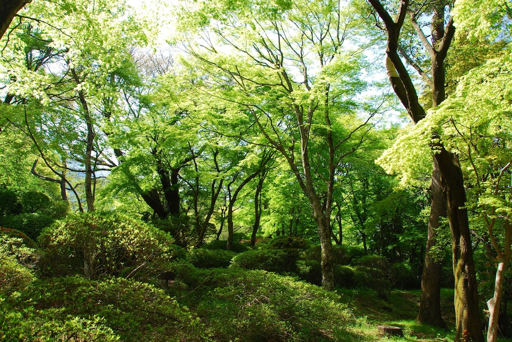 Hakone Kowakien Hotel 46/50