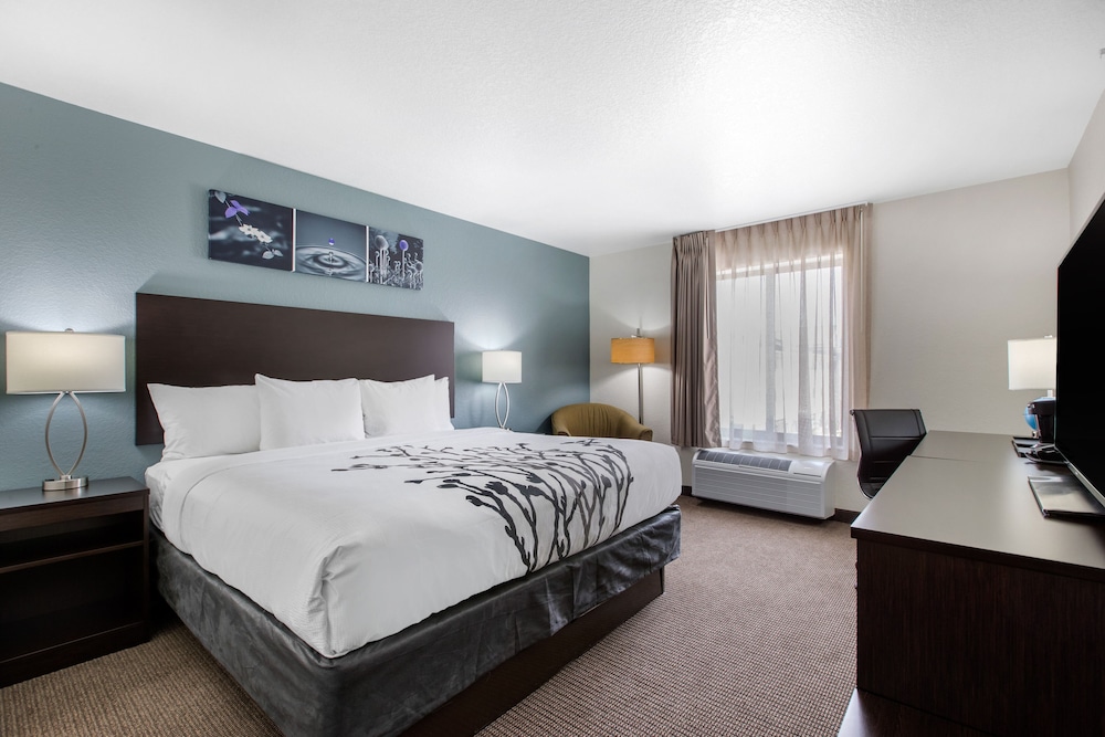 ROOM, KING BED, ACCESSIBLE
