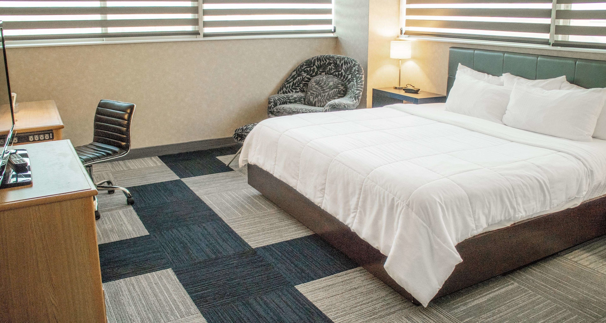 STANDARD, KING BED, PET FRIENDLY