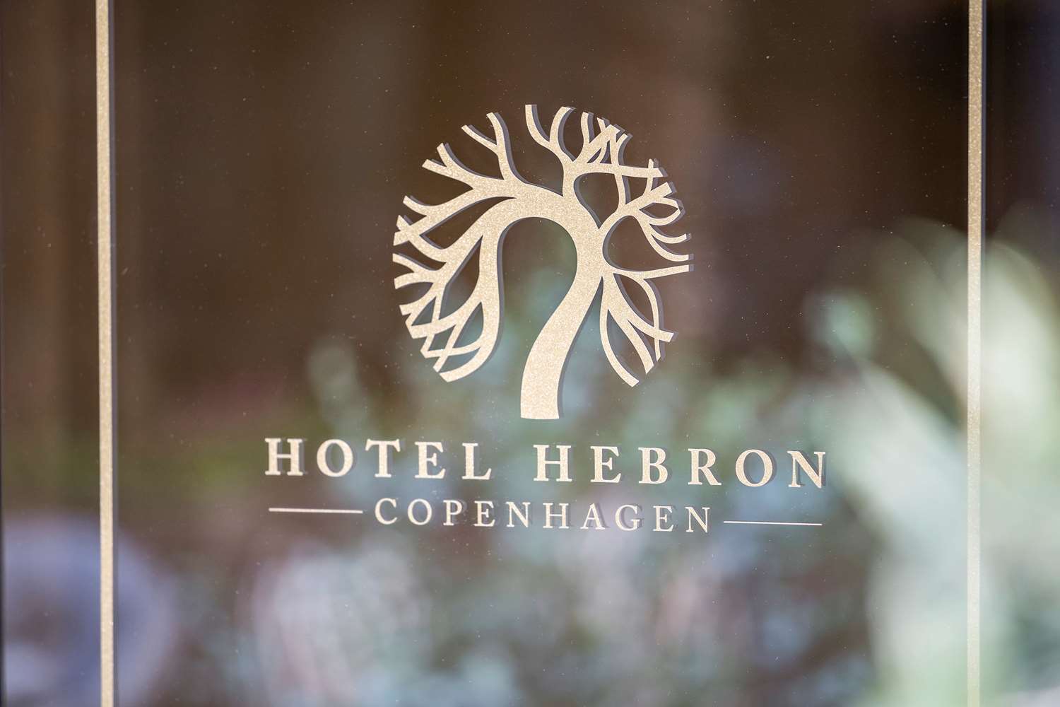 Best Western Hotel Hebron 26/68