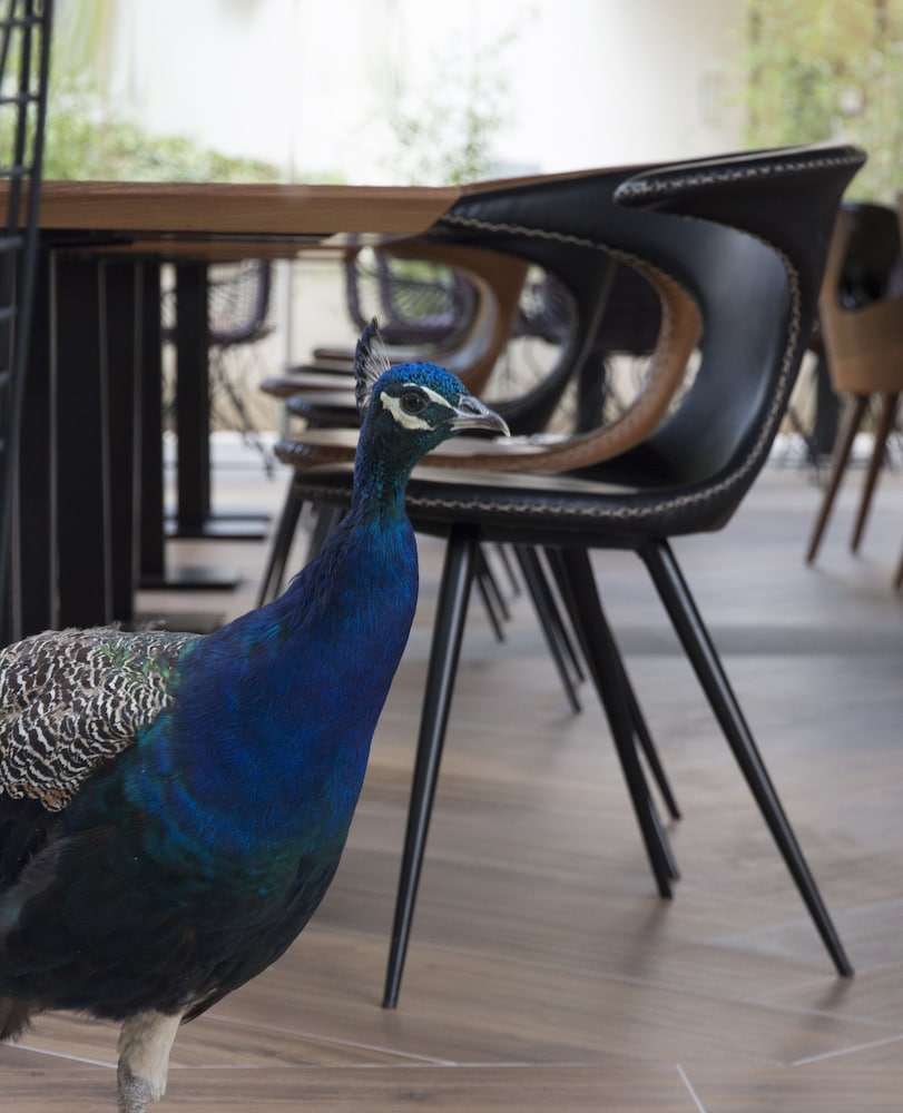 Time Boutique Hotel 30/49