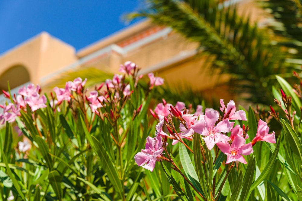 Lagrange Vacances Villa Barbara 15/25