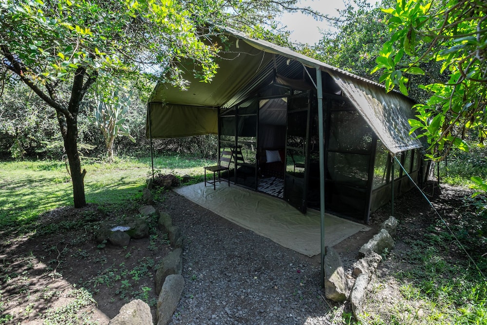 Punda Milias Camp Nakuru 21/50