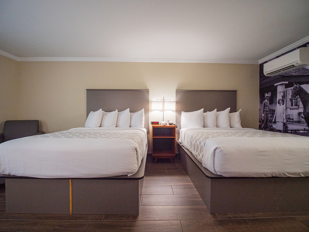 STANDARD, 2 QUEEN BEDS