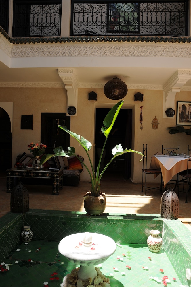 Riad Haraka 50/50