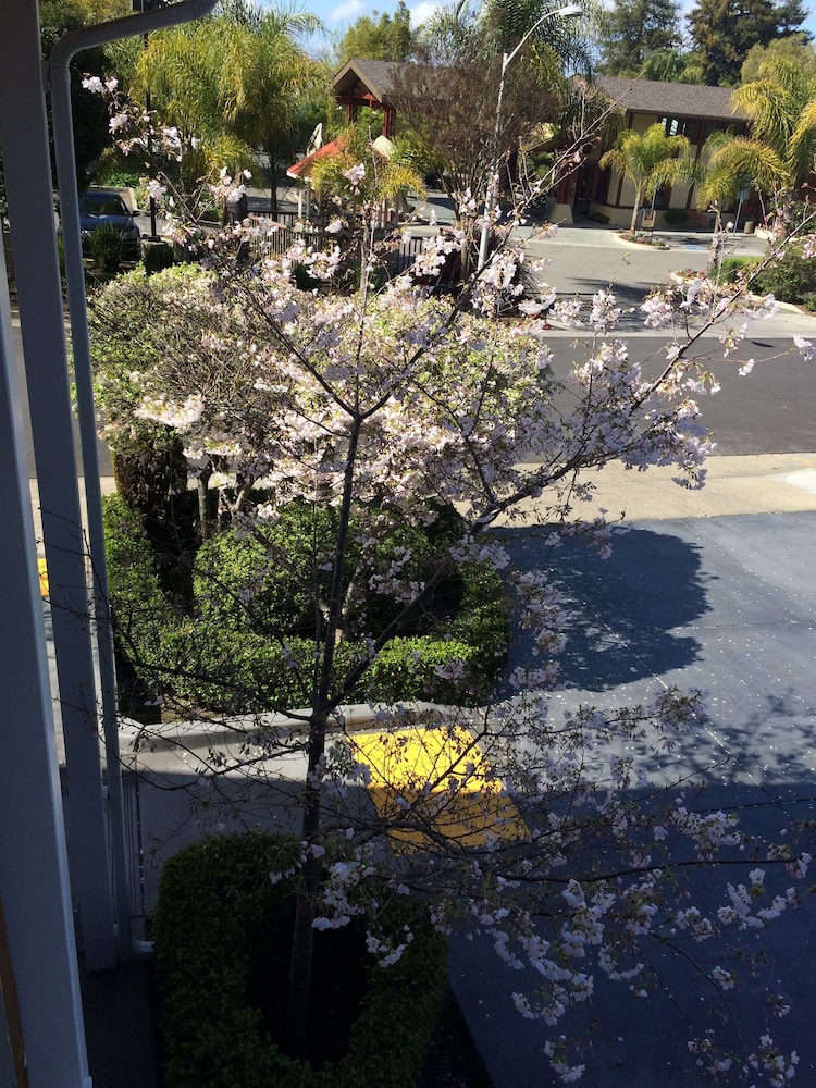 Oak Motel Palo Alto 12/28