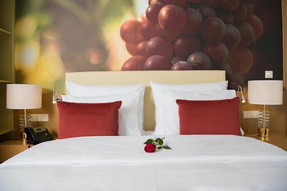 Douro Castelo Signature Hotel 19/30