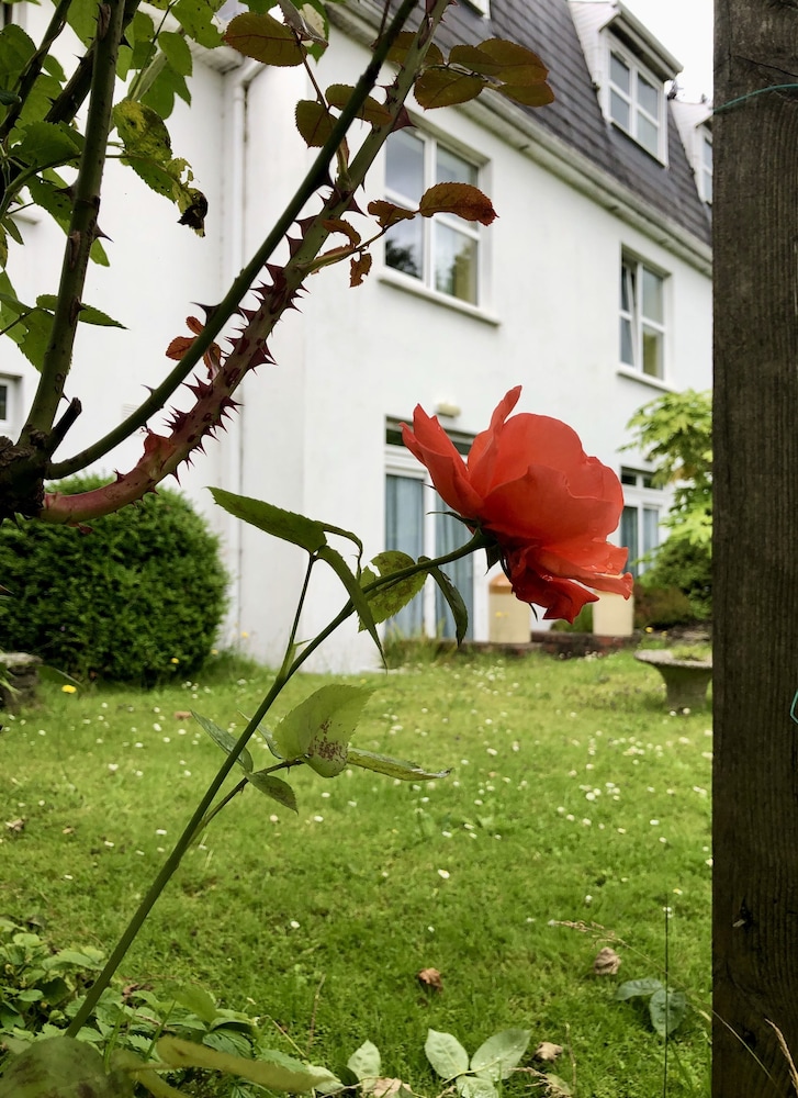 Belvedere Lodge - B&B 10/67