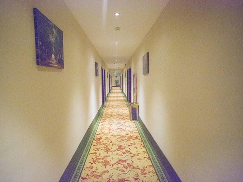 GreenTree Inn Jining Jiaxiang County Jianshe South Road Express Hotel 25/35