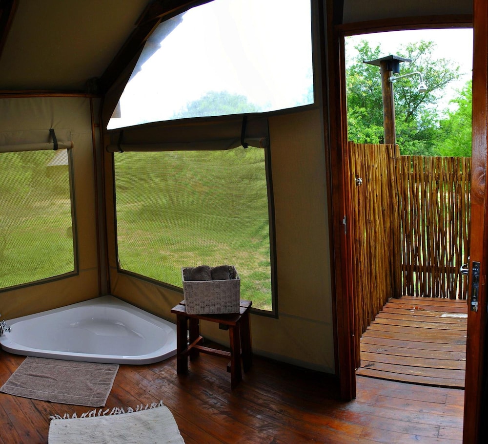 Lion Tree Top Lodge 13/36