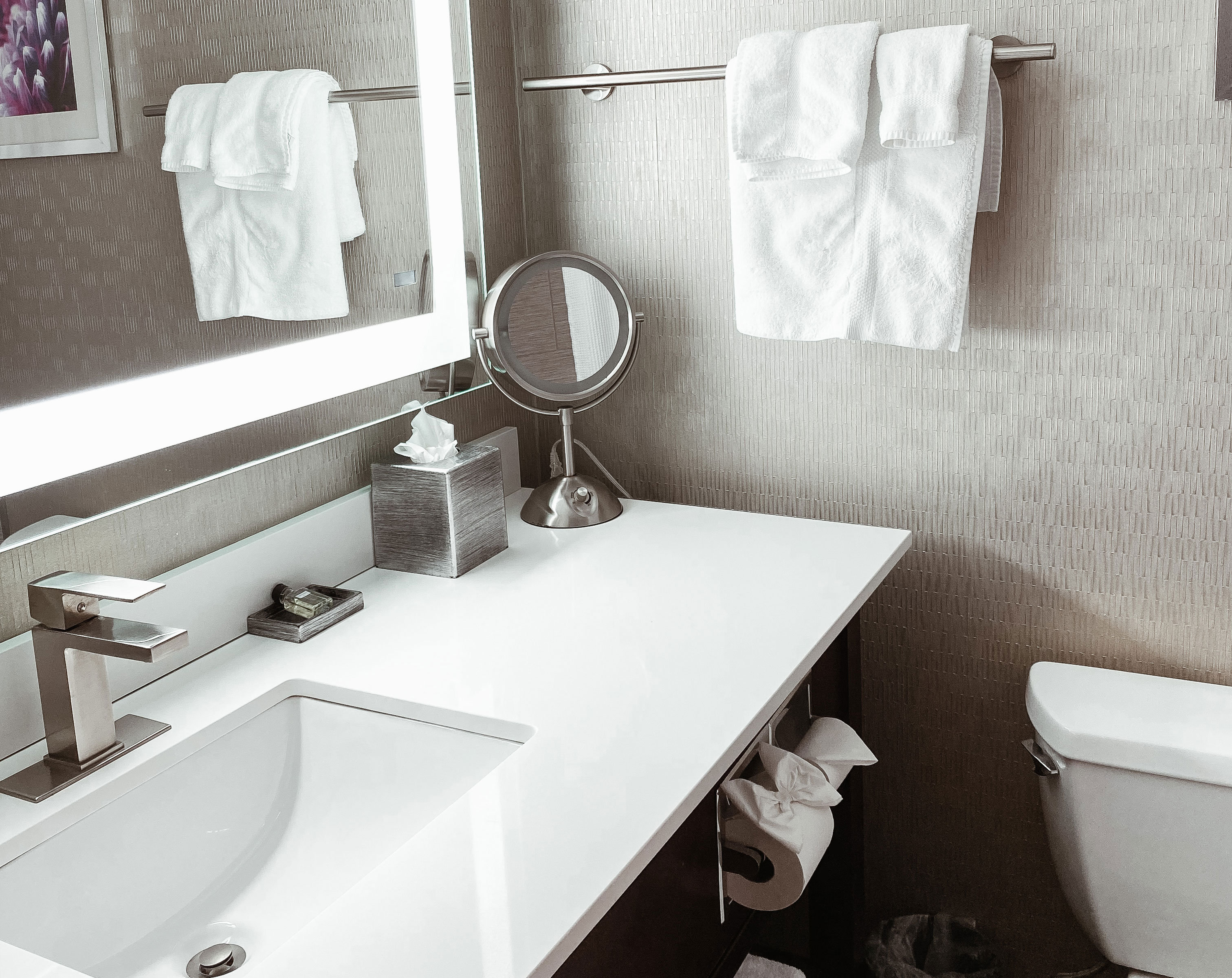 جناح لذوي الإعاقة، Crowne Plaza Chicago Sw Burr Ridge 3/4