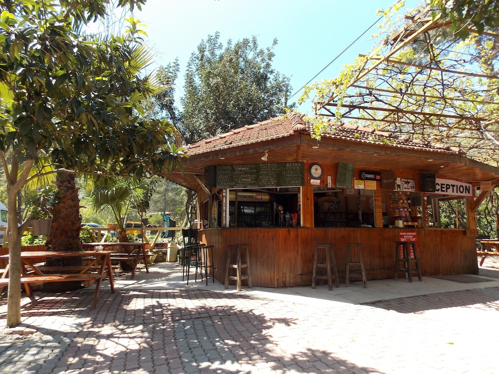 Olympos Orange 3/50