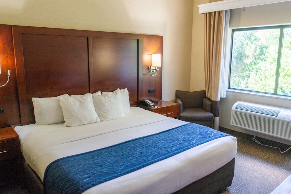 ROOM, KING BED, ACCESSIBLE