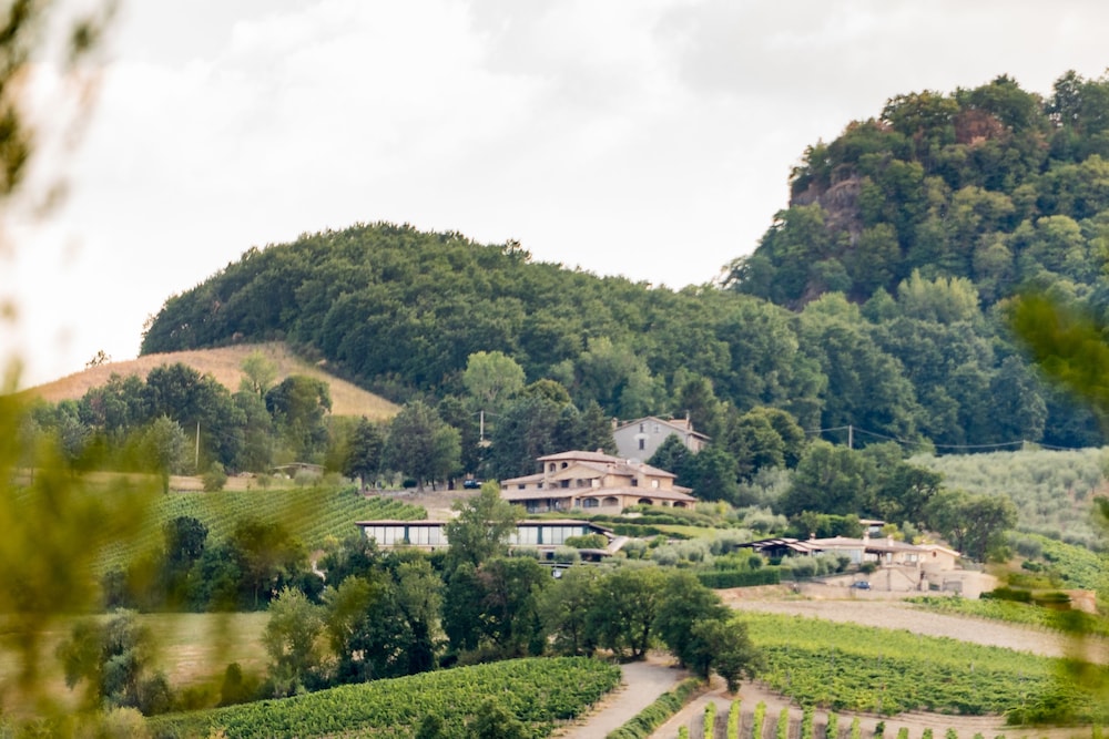 Altarocca Wine Resort 47/50