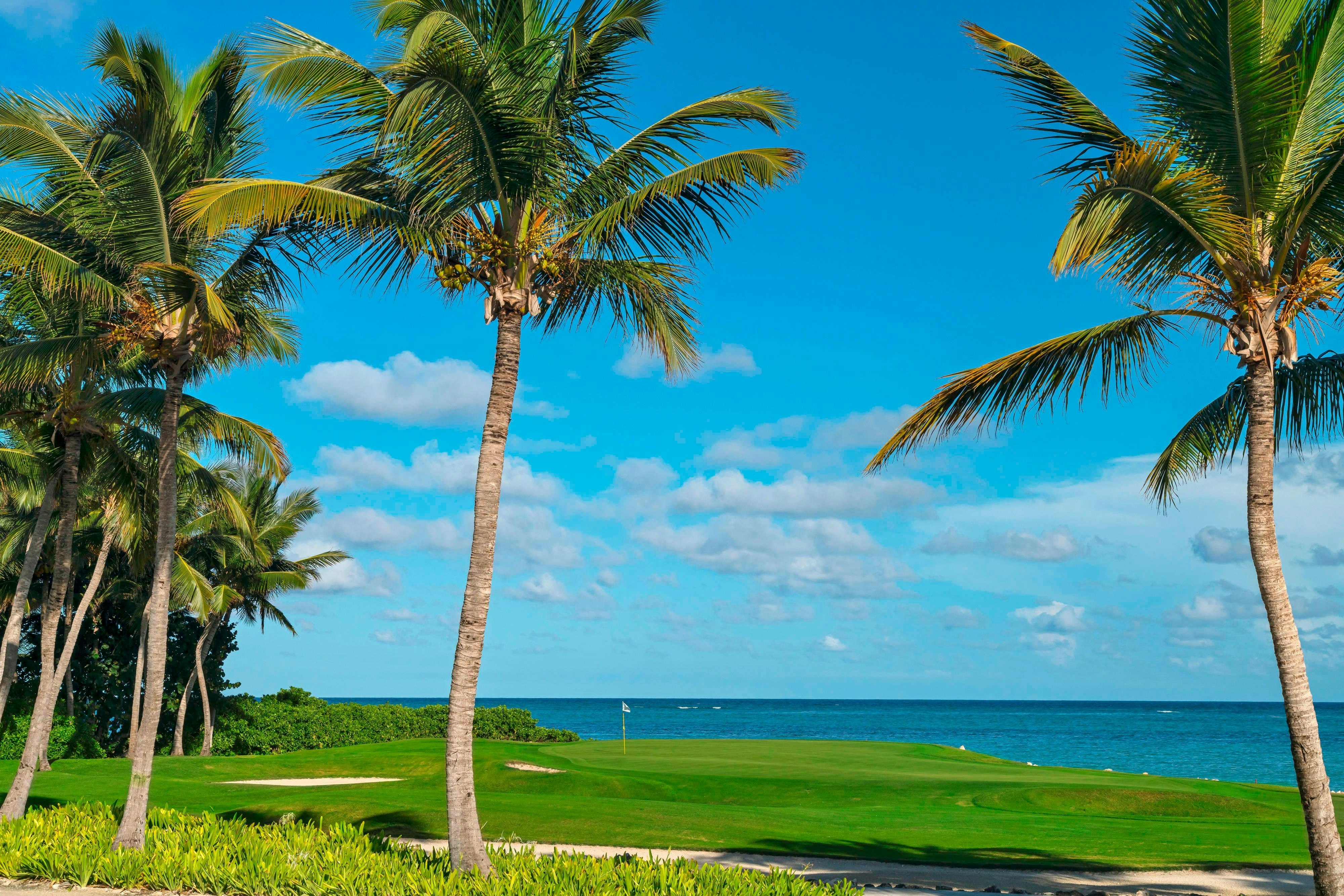 The Westin Puntacana Resort And Club 52/76