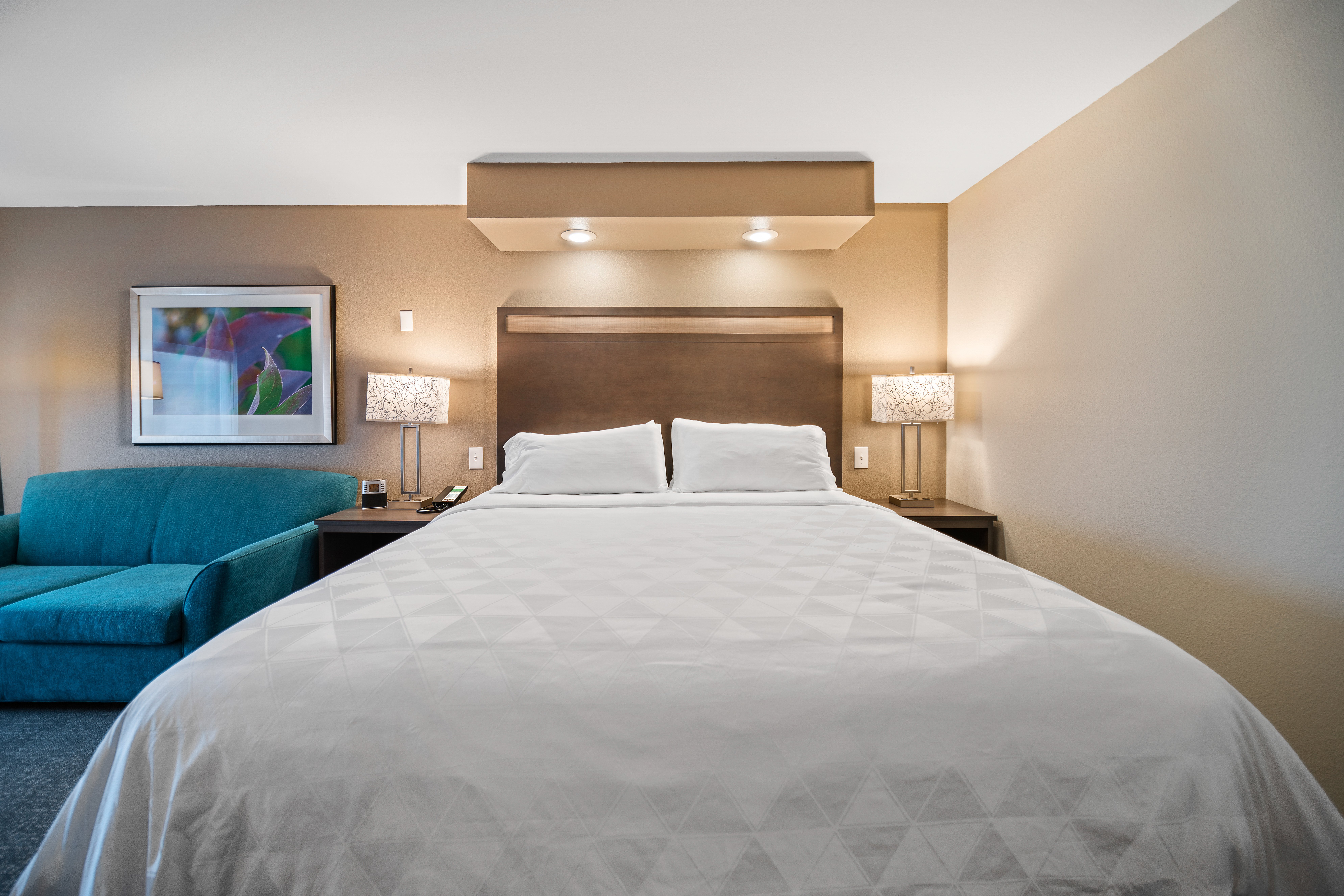 Room, King Bed, South Wing