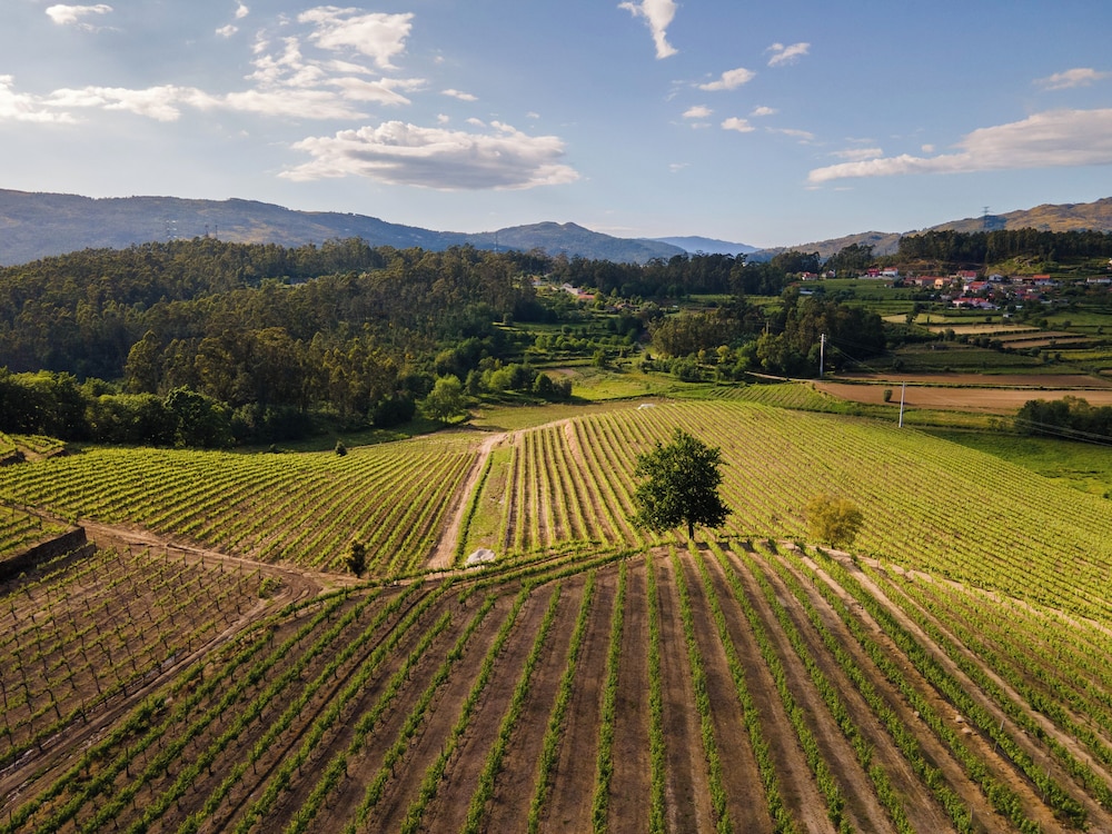 Vila Gale Collection Ponte de Lima Vineyards 65/71