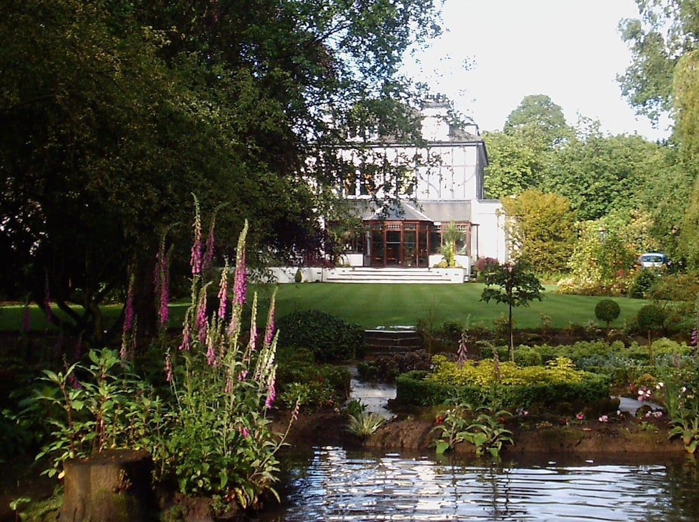 Brook Meadow photo5