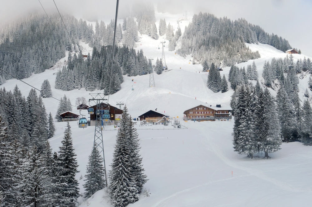 Alpinhotel Bort 46/50