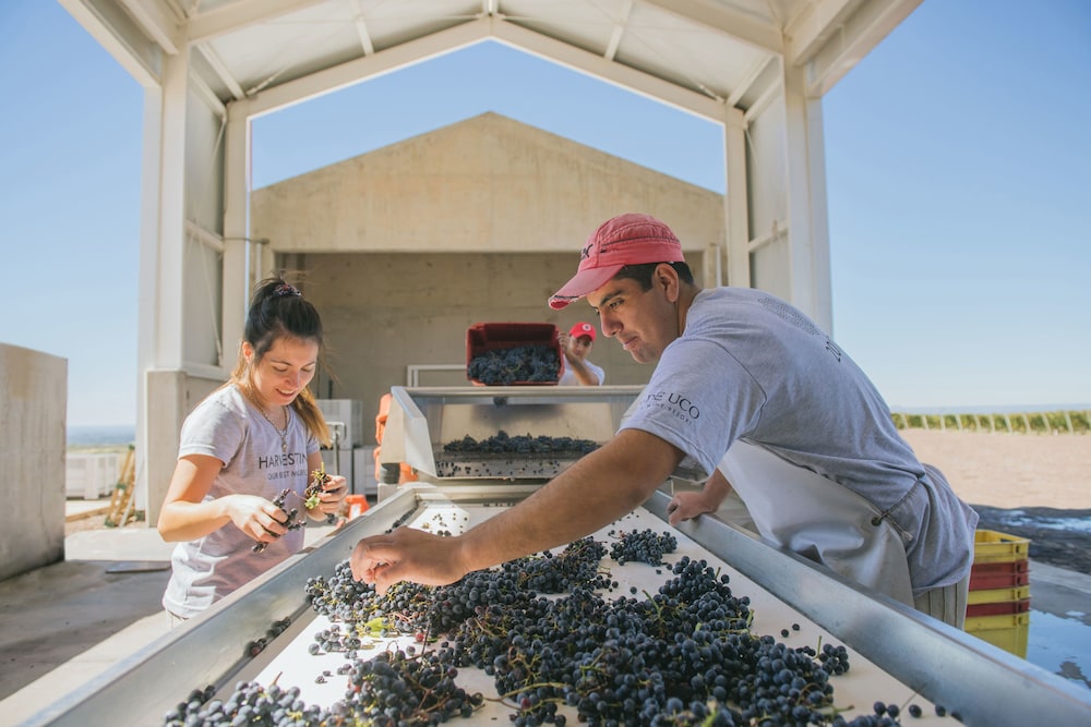 Casa de Uco Vineyards Wine Hotel 32/74