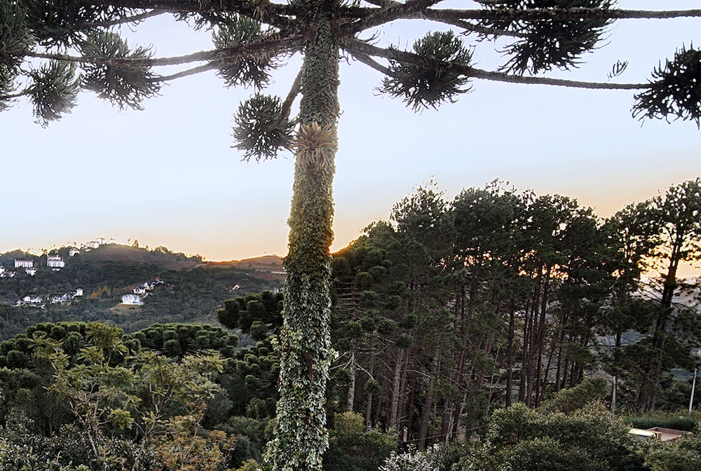 Recanto das Araucarias 56/65